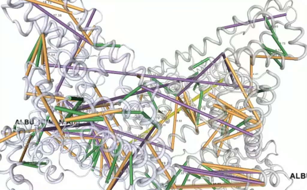 Proton structures